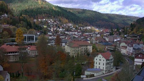 Webcam Bad Wildbad
