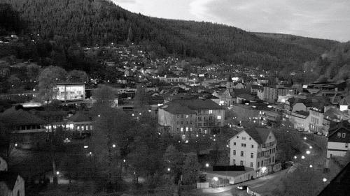 Webcam Bad Wildbad