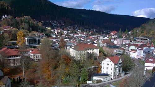 Webcam Bad Wildbad