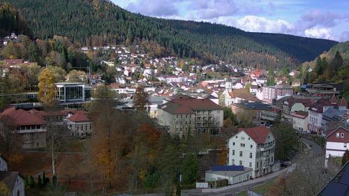 Webcam Bad Wildbad