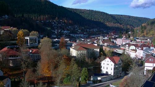 Webcam Bad Wildbad