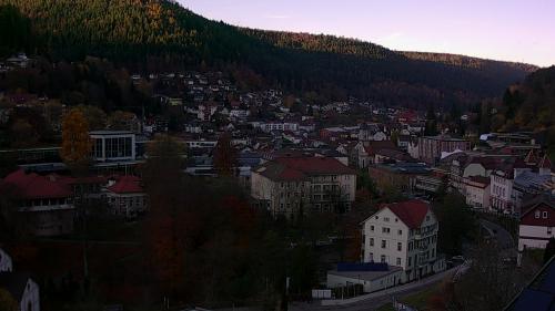 Webcam Bad Wildbad