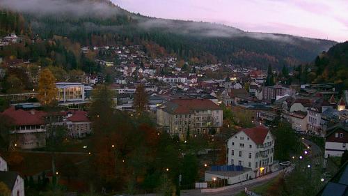 Webcam Bad Wildbad
