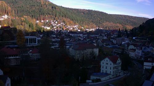 Webcam Bad Wildbad