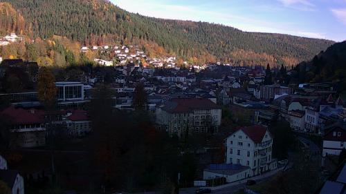 Webcam Bad Wildbad