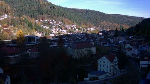 Webcam Bad Wildbad