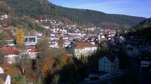 Webcam Bad Wildbad