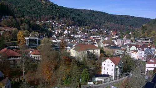 Webcam Bad Wildbad