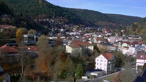 Webcam Bad Wildbad