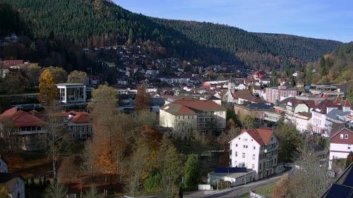Webcam Bad Wildbad