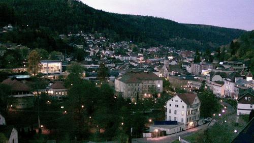 Webcam Bad Wildbad