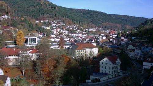 Webcam Bad Wildbad