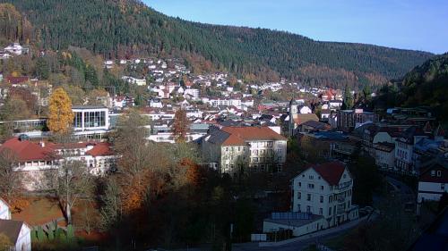 Webcam Bad Wildbad