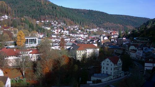 Webcam Bad Wildbad