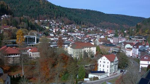 Webcam Bad Wildbad