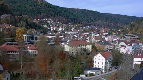 Webcam Bad Wildbad