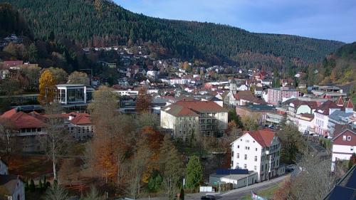 Webcam Bad Wildbad