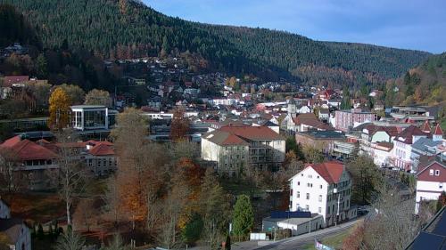 Webcam Bad Wildbad