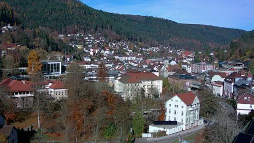 Webcam Bad Wildbad