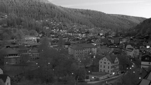 Webcam Bad Wildbad