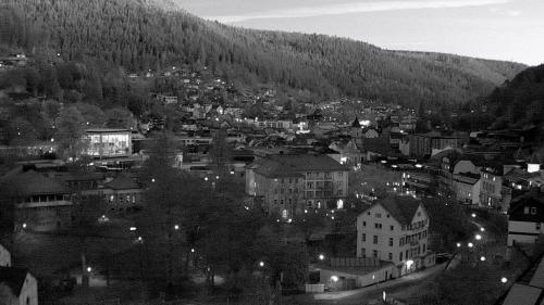 Webcam Bad Wildbad