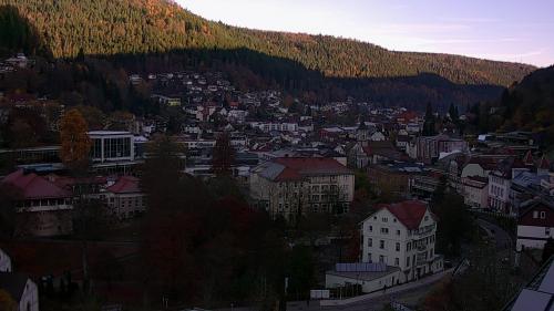 Webcam Bad Wildbad
