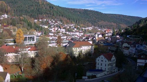 Webcam Bad Wildbad