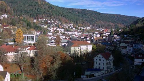Webcam Bad Wildbad