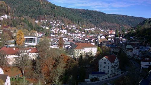 Webcam Bad Wildbad
