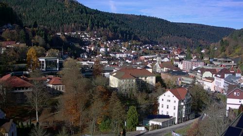 Webcam Bad Wildbad