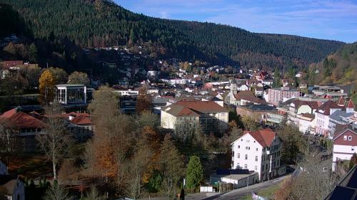 Webcam Bad Wildbad