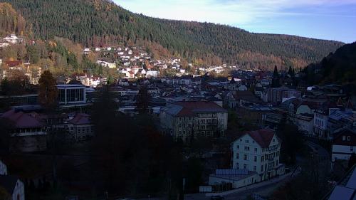 Webcam Bad Wildbad