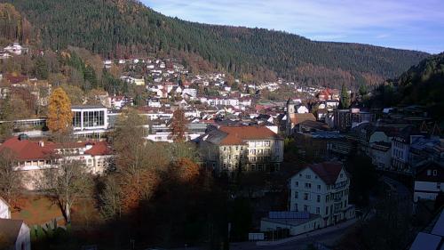 Webcam Bad Wildbad