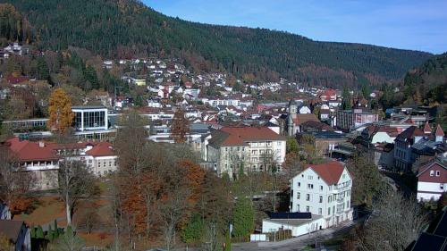 Webcam Bad Wildbad