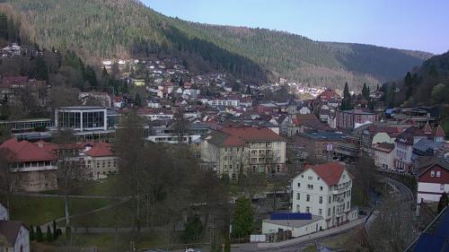 Webcam Bad Wildbad