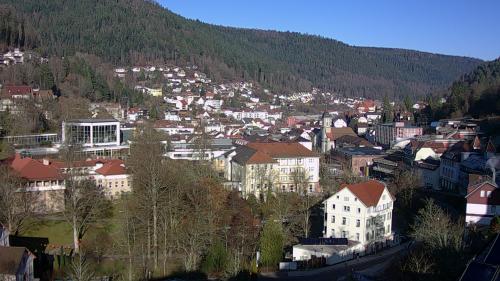 Webcam Bad Wildbad