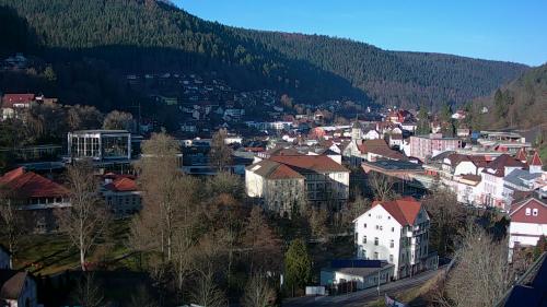 Webcam Bad Wildbad