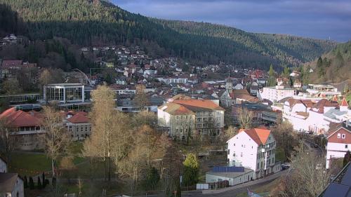 Webcam Bad Wildbad