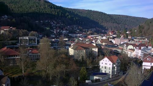 Webcam Bad Wildbad