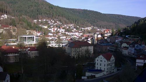 Webcam Bad Wildbad
