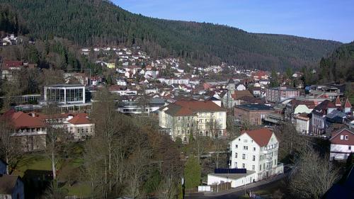 Webcam Bad Wildbad
