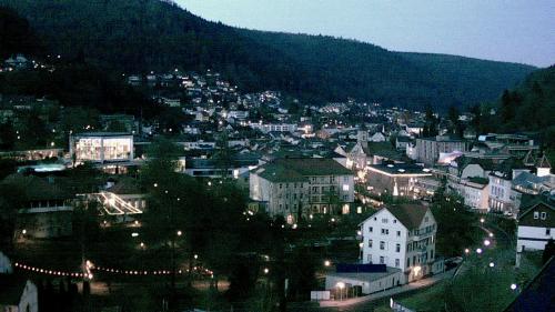 Webcam Bad Wildbad