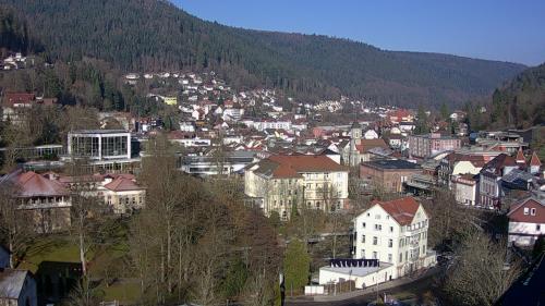 Webcam Bad Wildbad