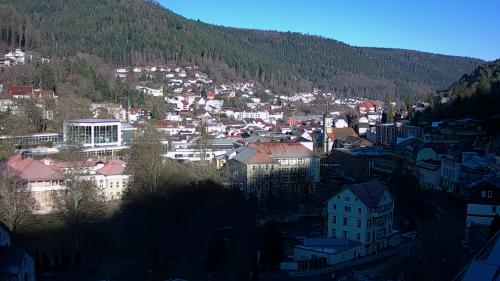 Webcam Bad Wildbad