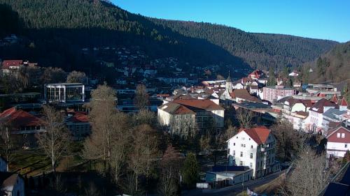 Webcam Bad Wildbad