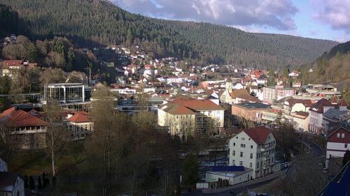 Webcam Bad Wildbad