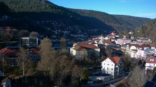 Webcam Bad Wildbad