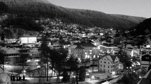 Webcam Bad Wildbad