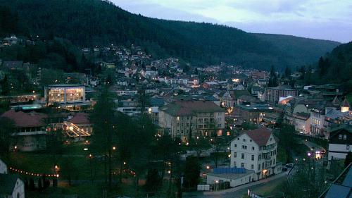 Webcam Bad Wildbad