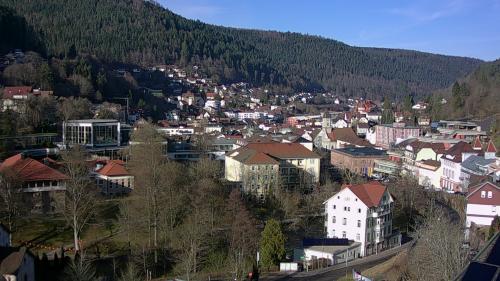Webcam Bad Wildbad